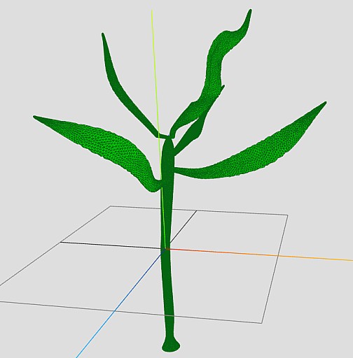 02_plant.png