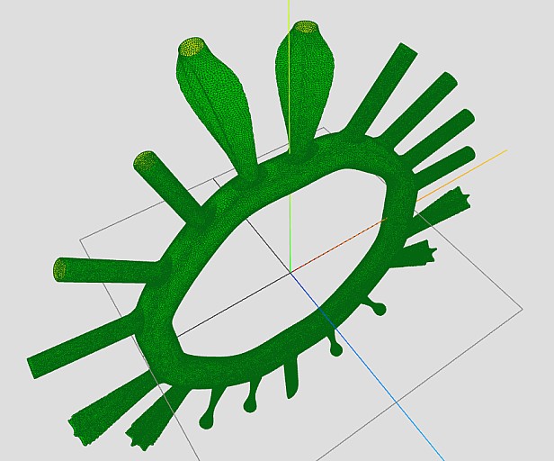 11_ring.png